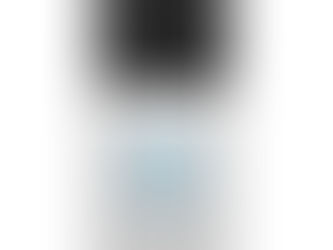 Product Auditor’s Corner- Ring Doorbell Camera