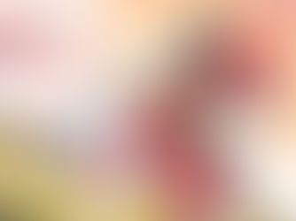 he is proficient at dealing with