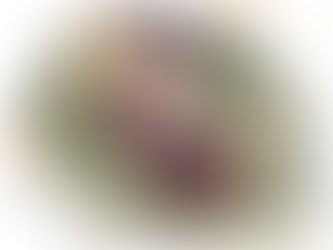 They definitely prepare for those in their price variety