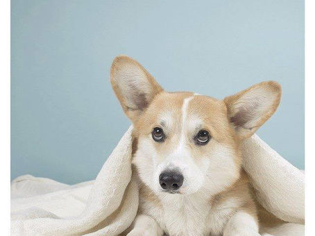 An excellent manga for women