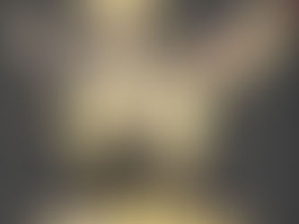 The narrative commences