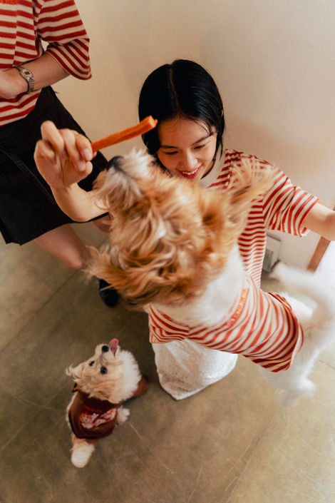 Ramen Explorer Pets Series ( Sony )-063