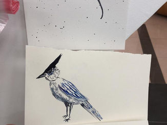 pictures showing a cat, a manta ray and a bird using ink fine lines and blending