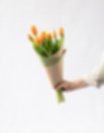Bouquet of Tulips held in hands