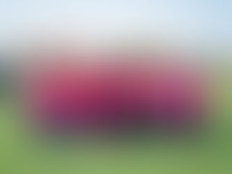 Group break out after a practice