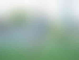 Mallory with FIERCE's 2025 WPSL Team