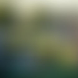 The Persistent Inequality in Women's Sports