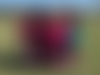 Academy Observations (TY25-26)