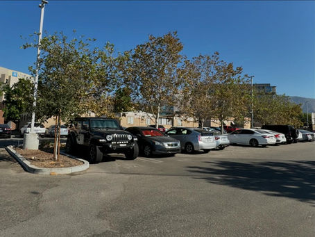 23 Native Trees Planted at City of Hope