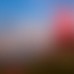 【2026】ダナン観光アクティビティ完全ガイド｜バーナーヒルズから海遊び、夜の楽しみ方まで徹底解説