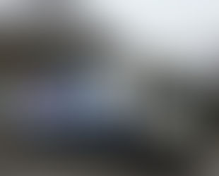 Candybars just arrived