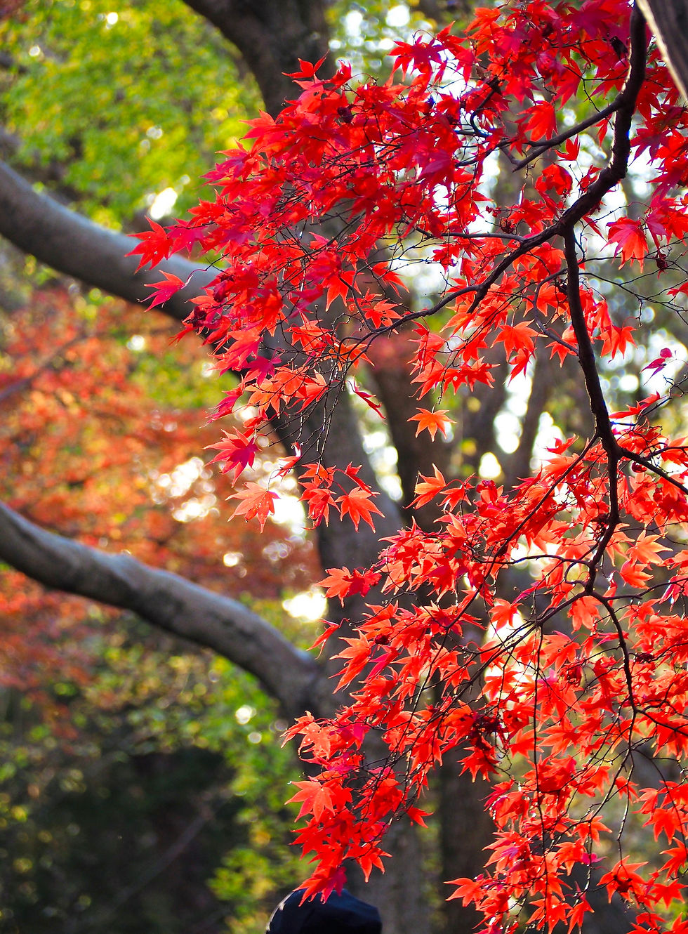 20240705_120357180_iOS_2