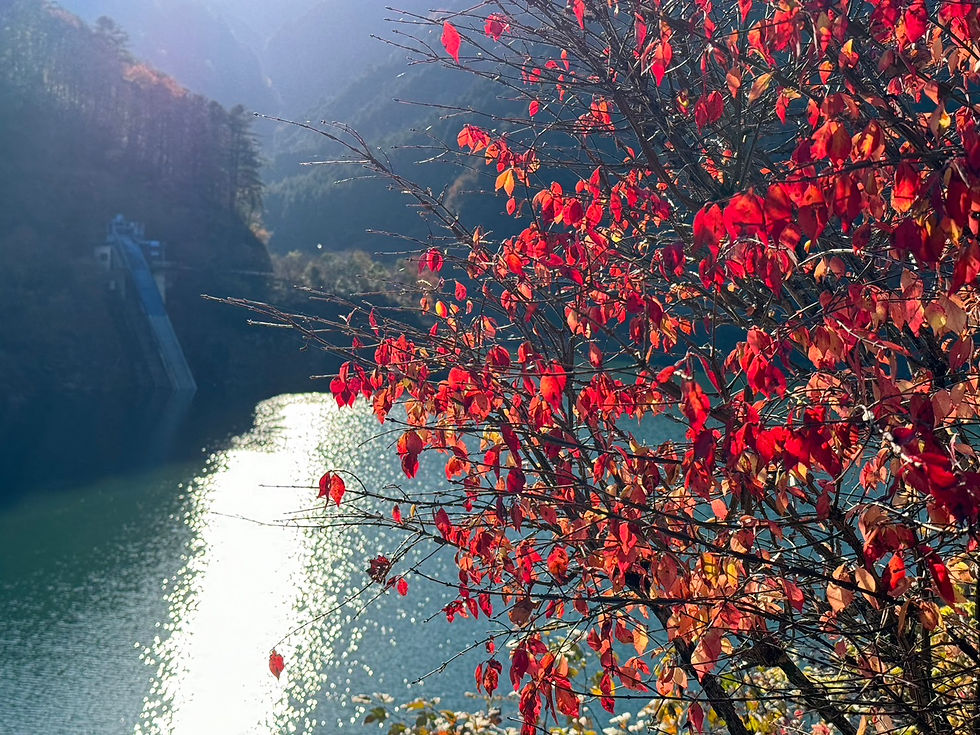 20231207_030029086_iOS (2)