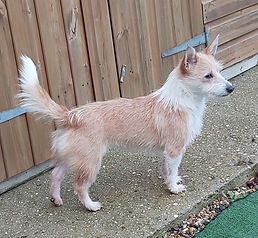 20221122_142705 (1).jpg