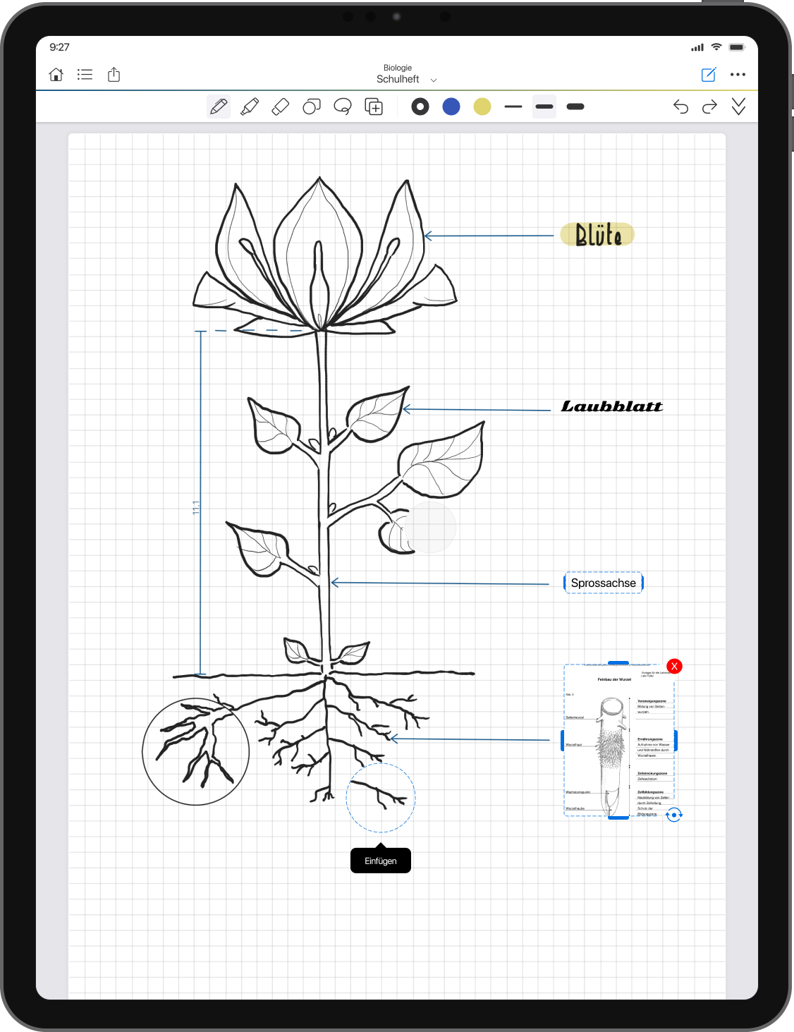 Alle Tools für einzigartige Einträge