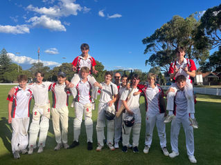 Wanderers Cricket - Round 7 Wrap