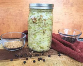 Gut Healing Wisdom Kelly Dearie