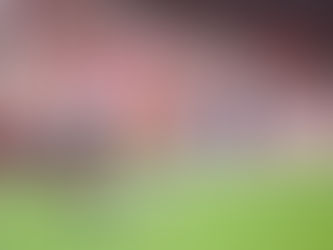 Fantrax EPL: Gameweek 16 Hot or Cold