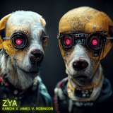 Kxr_ZYA.png