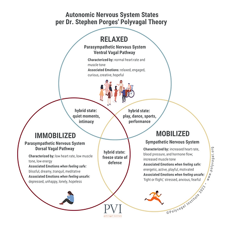 Polyvagal Institute ANS Diagram 2023.webp