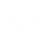 Paris Lift-Off Film Festival Online 2019