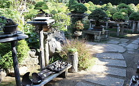 盆栽 | 日本 | 芙蓉園 FUYOEN