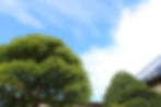 空と楓