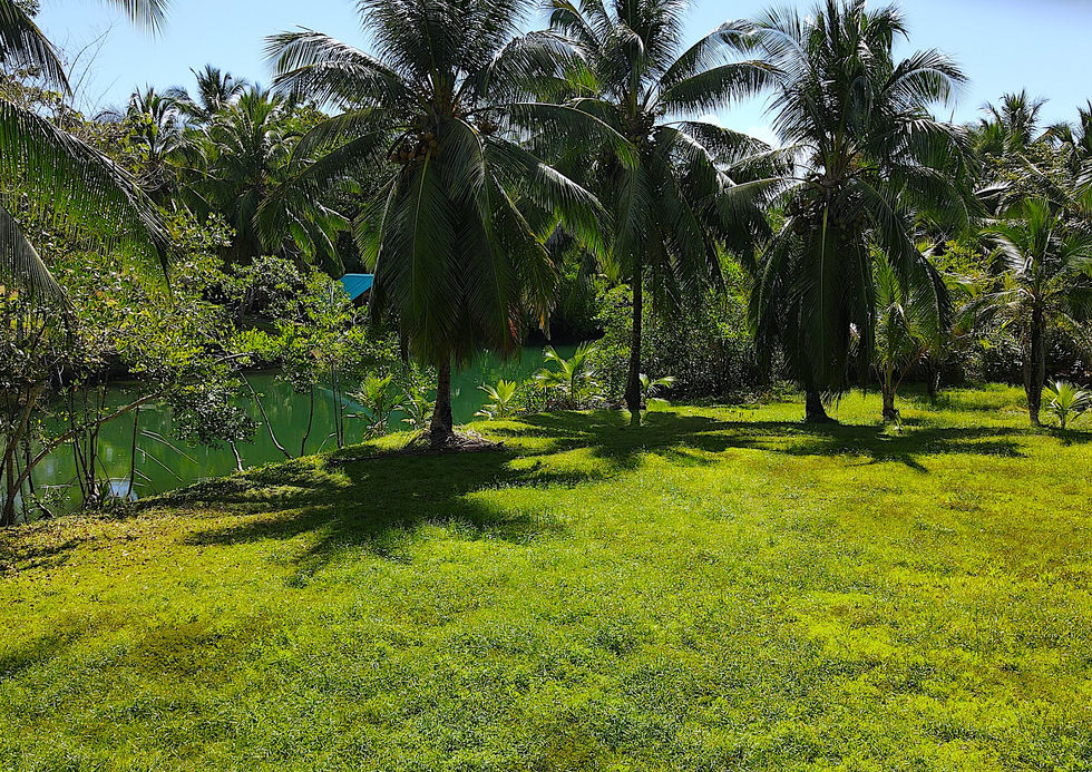 View of the land