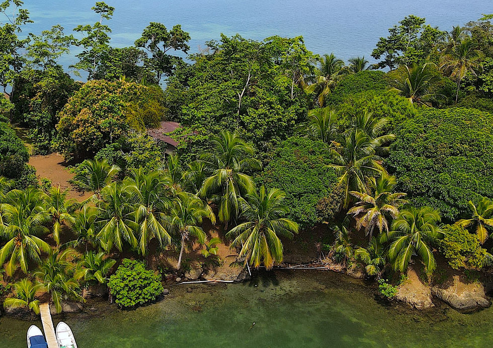 Bird view of the property