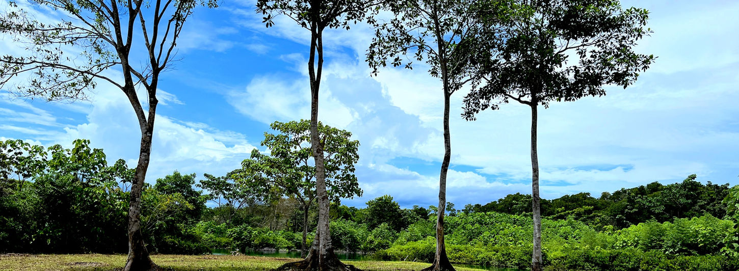 Titled Land with water and road access close to Bocas Town.