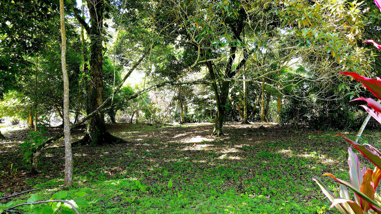 Large flat land titled Property