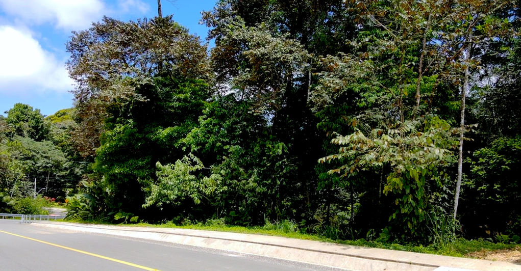 View of the paved road from Bocas to Drago