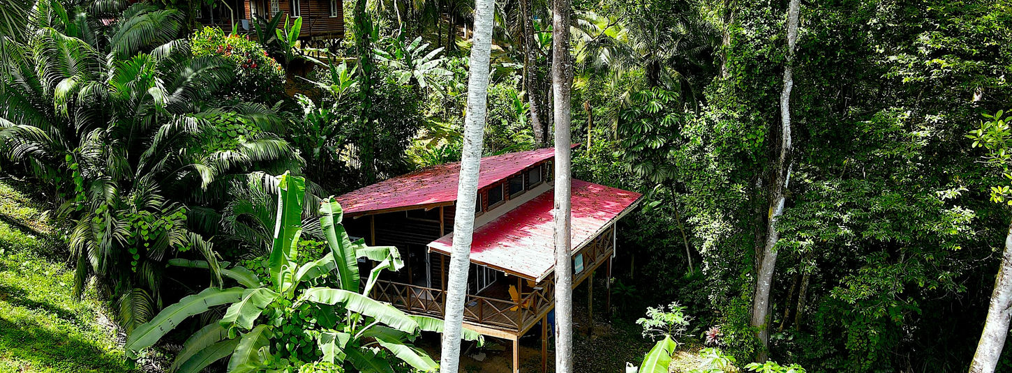 Cabin
