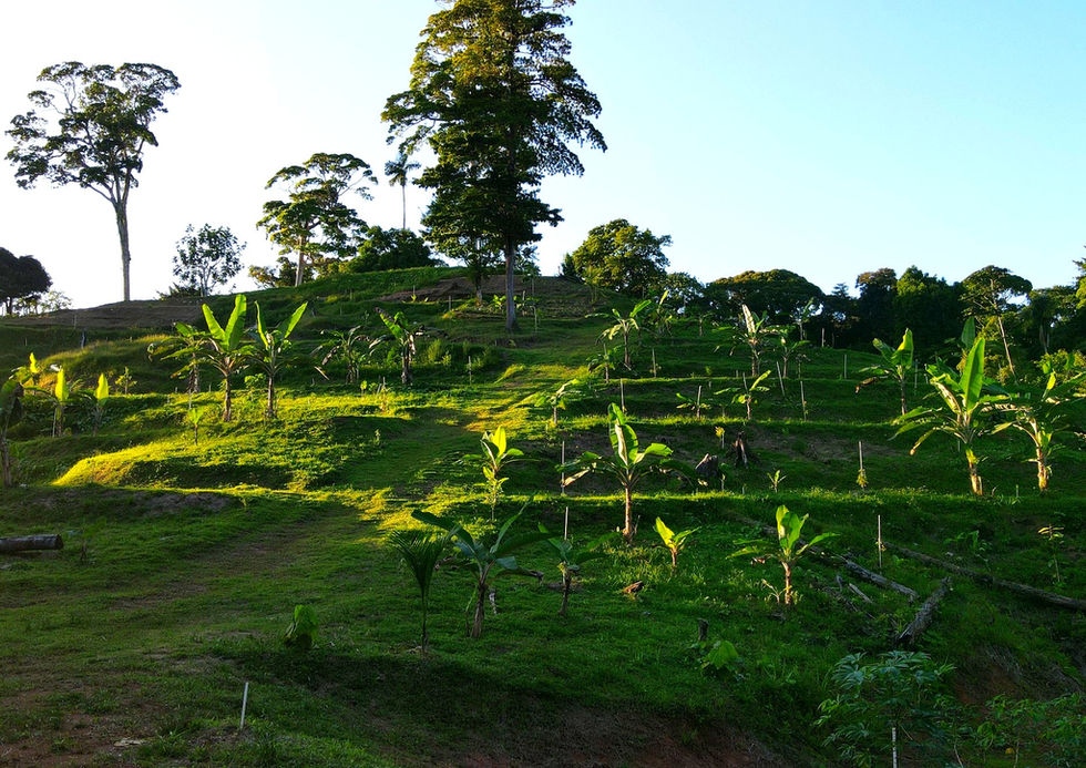 Agriculture