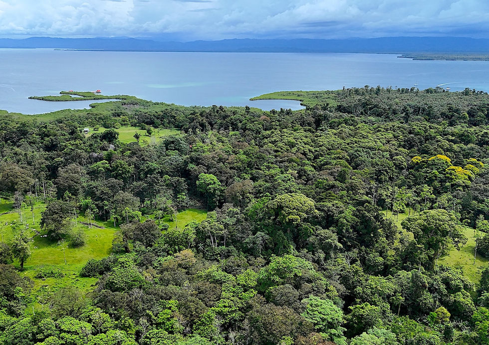 Aerial view of the property