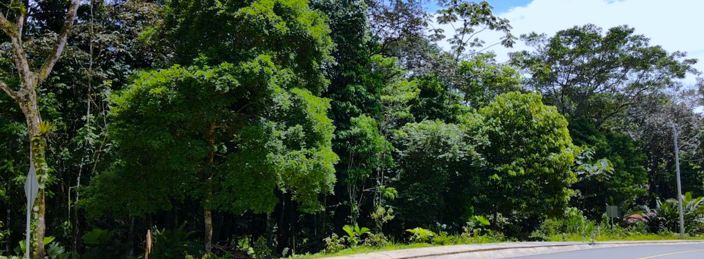 View of the paved road from Bocas to Drago