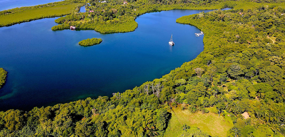Bird view of the large flat Property