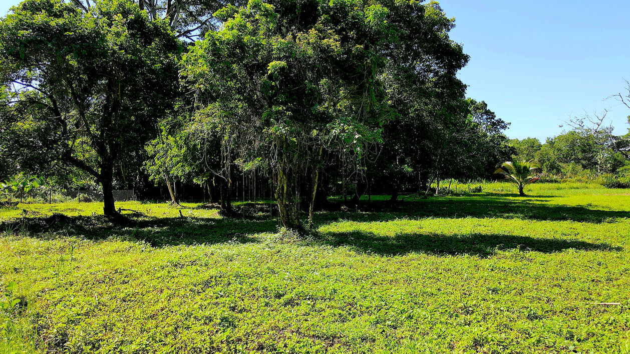 Large flat land titled Property