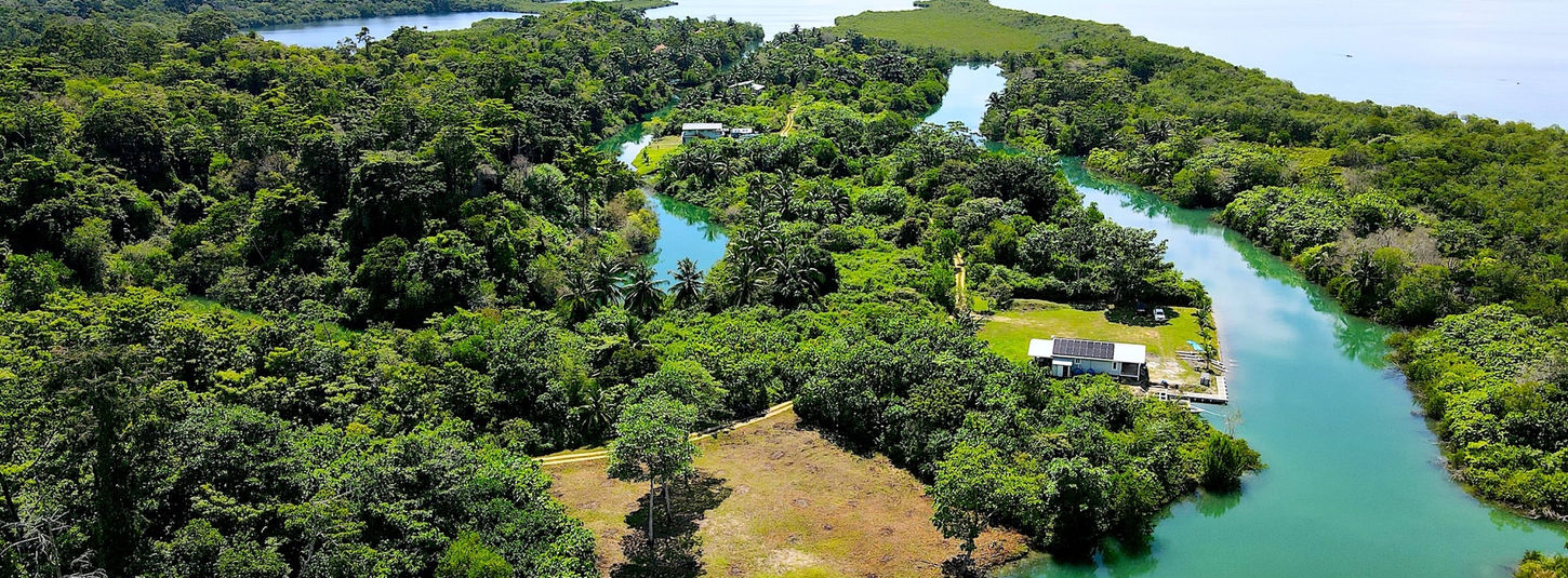 Bird view of the property