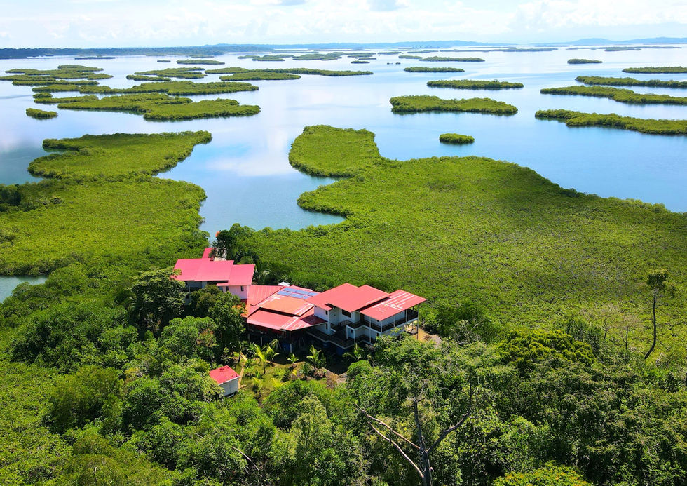 Bird View of the Property