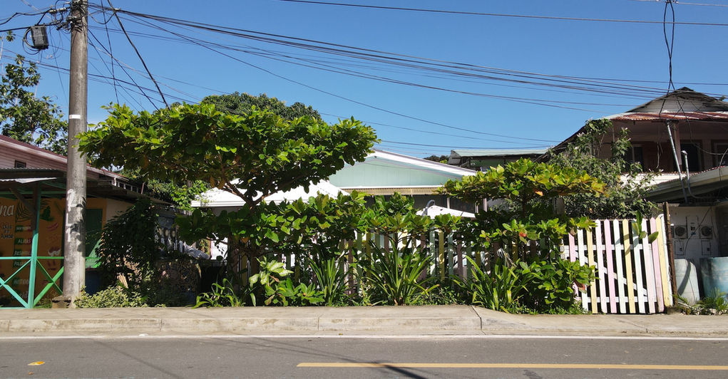 Front of the property