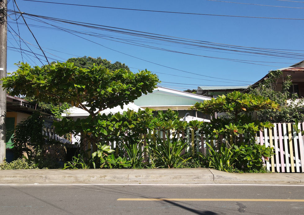 Front of the property