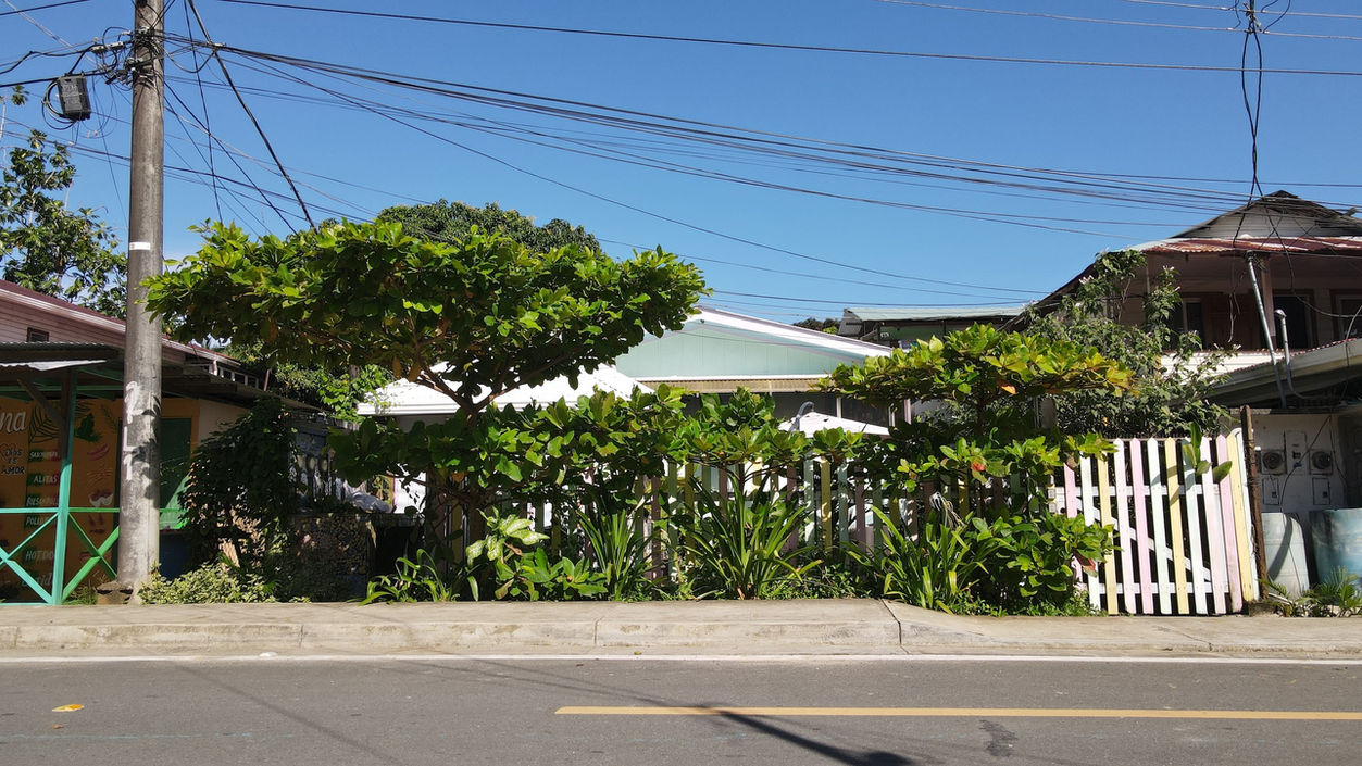 Front of the property