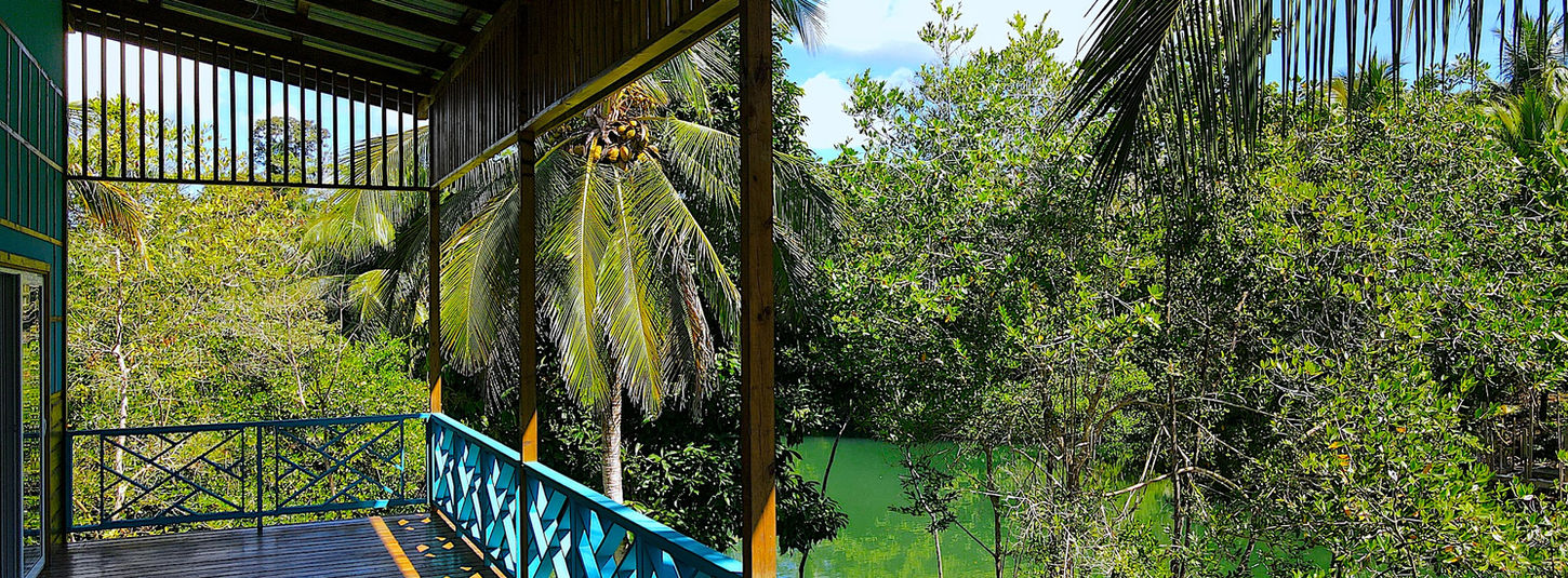 Front deck looking at the canal