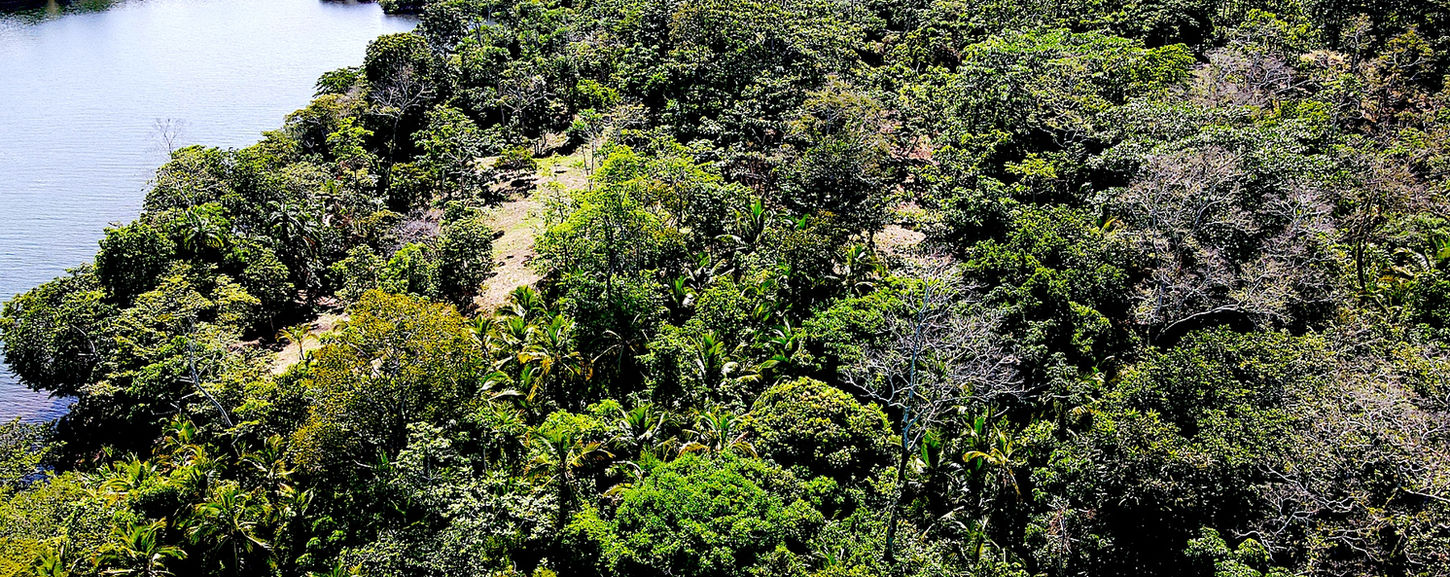 Vue du terrain