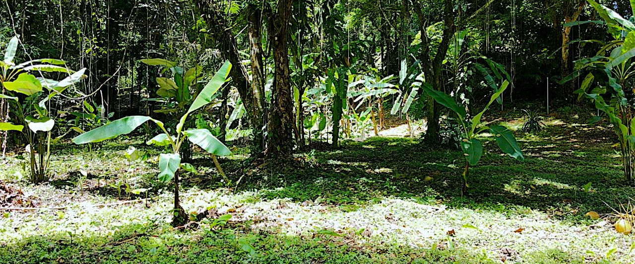 Pictures of the land