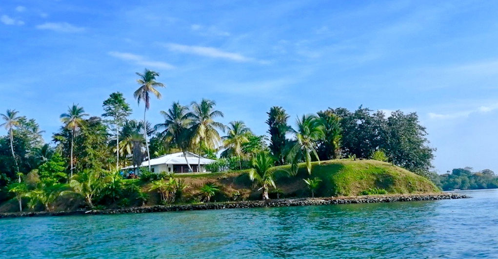 View of the property from the west side