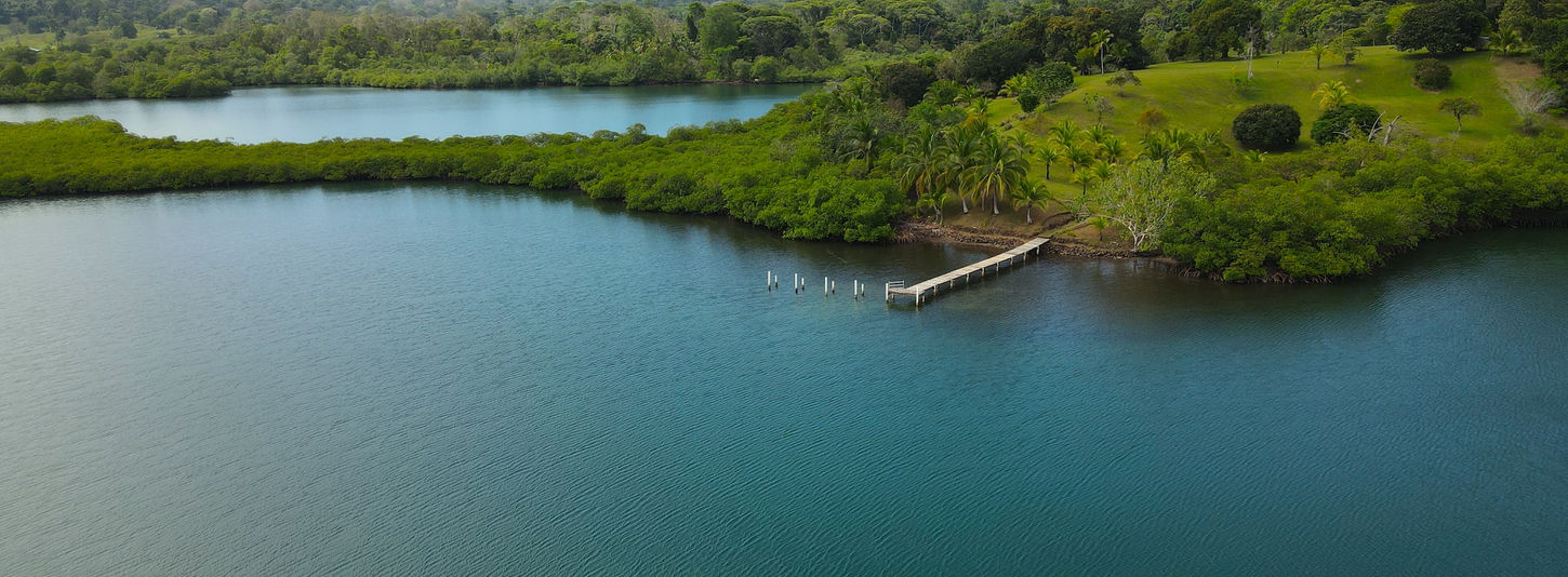 Bird view of the property