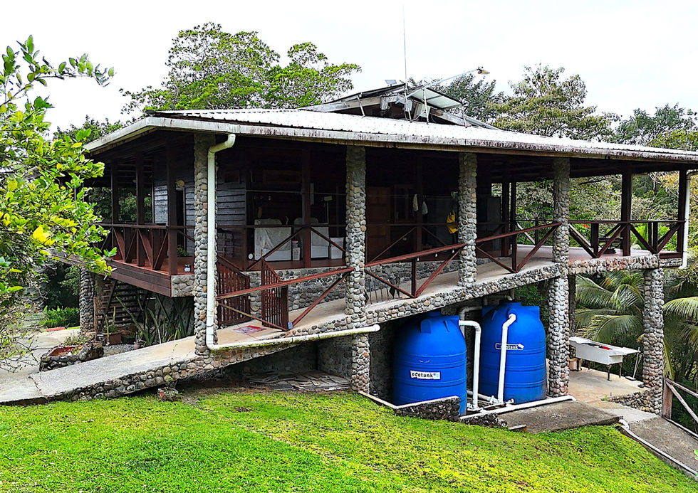 Side view of the house