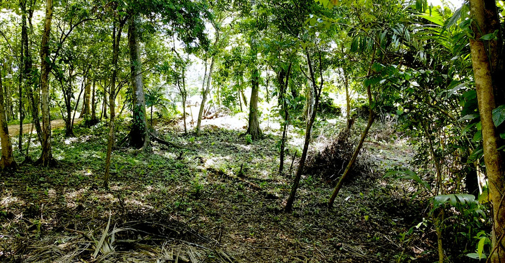 Landscaping of a few lots